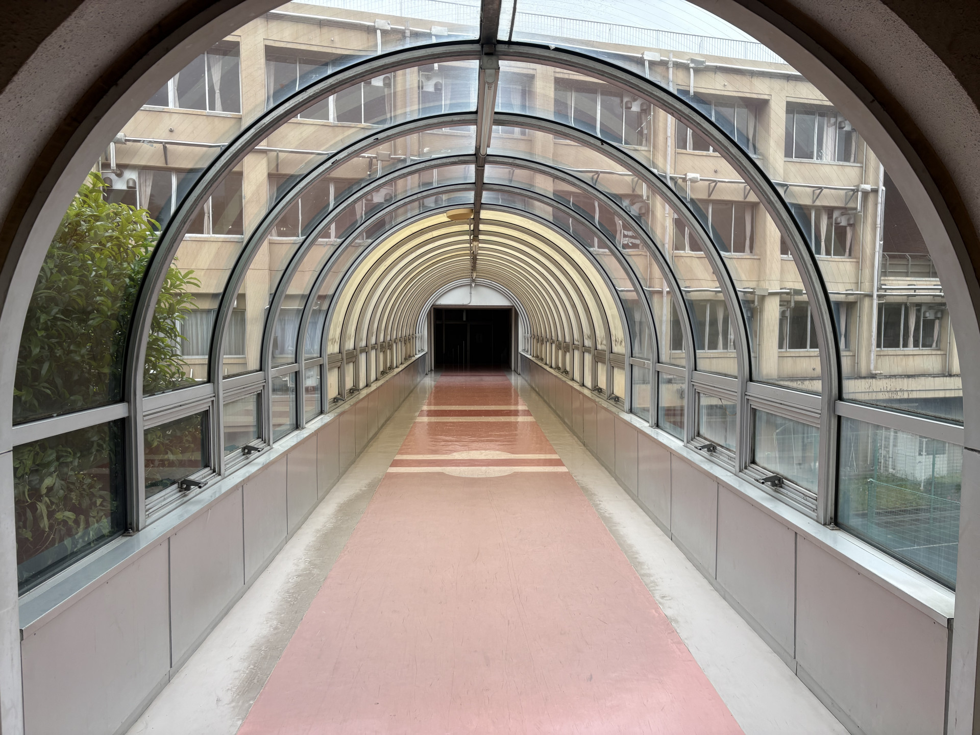 画像 -20260430-021055-f750c88e
